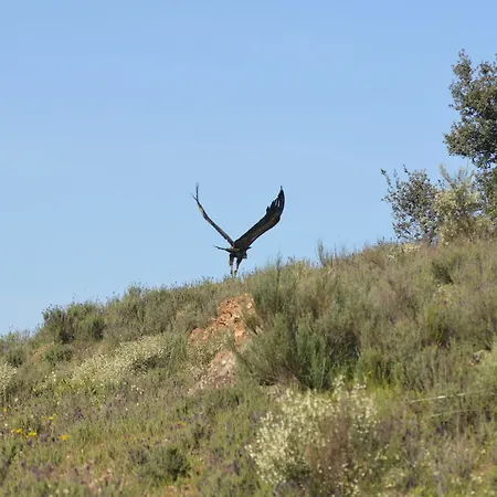 Casa de Campo Aldeaduero