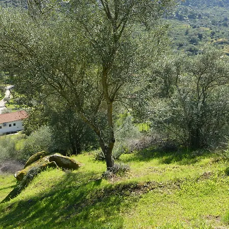 Casa rural Aldeaduero