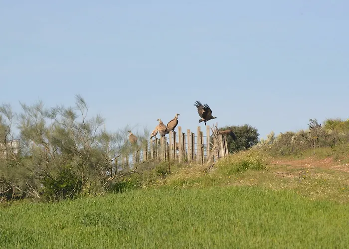 컨트리하우스 Aldeaduero
