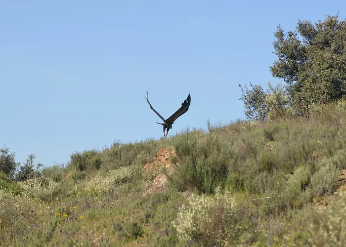컨트리하우스 Aldeaduero